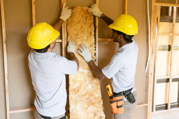 Trusted Lake Park, GA Insulation Services Experts